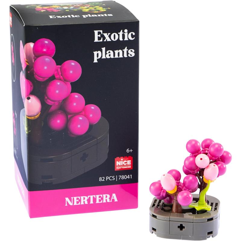 Plantas exóticas construcción Nertera