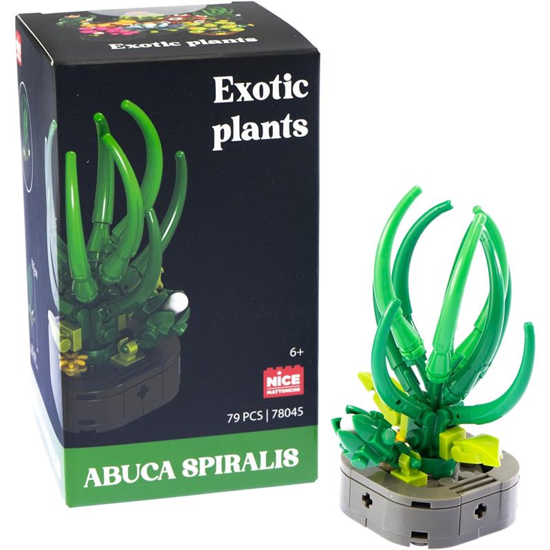Plantas exóticas construcción Abuca Spiralis