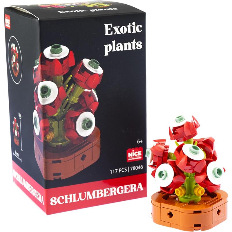 Plantas exóticas construcción Schlumbergera