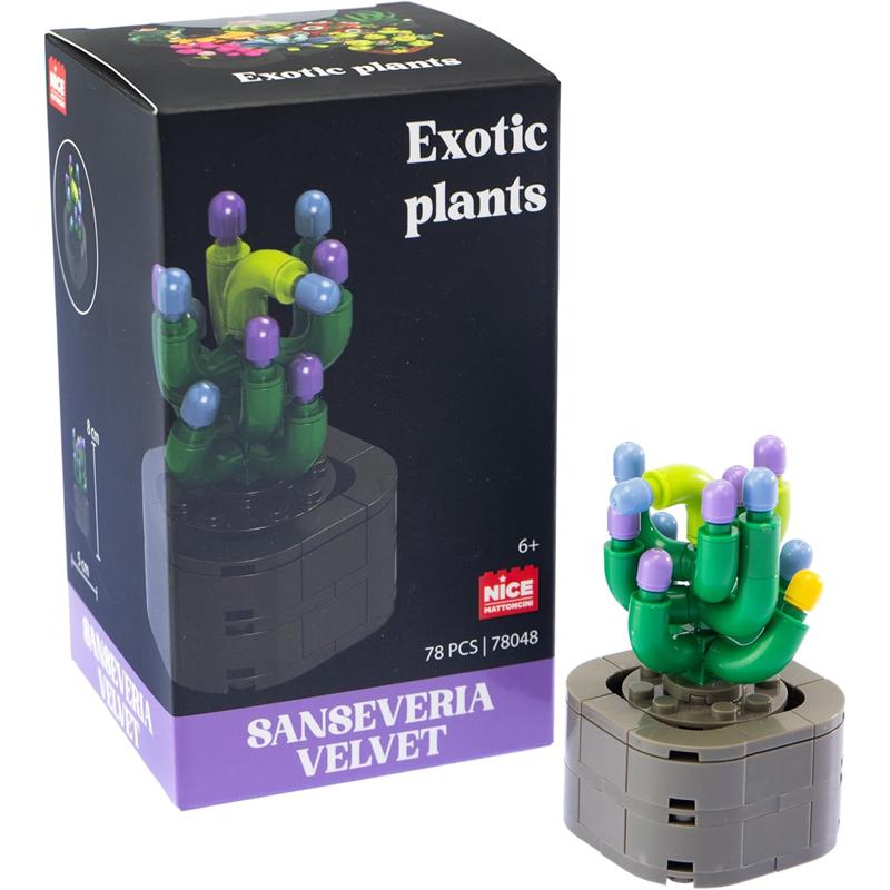 Plantas exóticas construcción Sanseviera Velvet