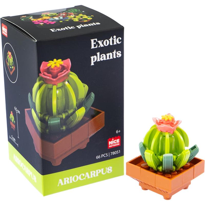 Plantas exóticas construcción Ariocarpus