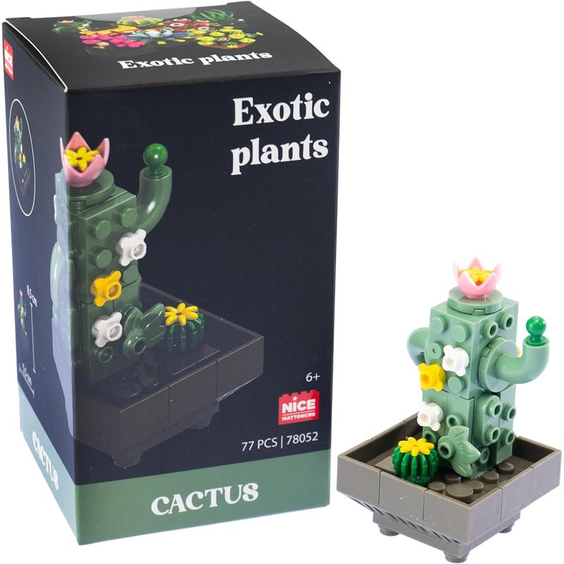 Plantas exóticas construcción Cactus