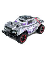 Ninco Racers coche radio control Bulldog