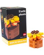 Plantas exóticas construcción Sedum Adolphii