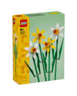 Lego narcisos