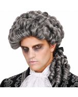 Peluca caballero hechizado hombre adulto