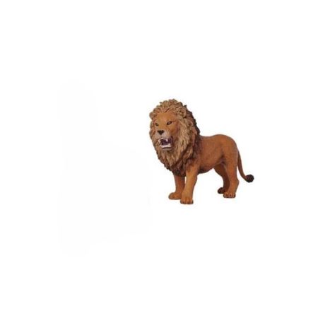 Animales safari