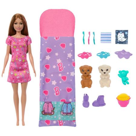 Barbie muñeca y accesorios