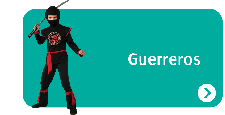 Disfraces guerrero Niño