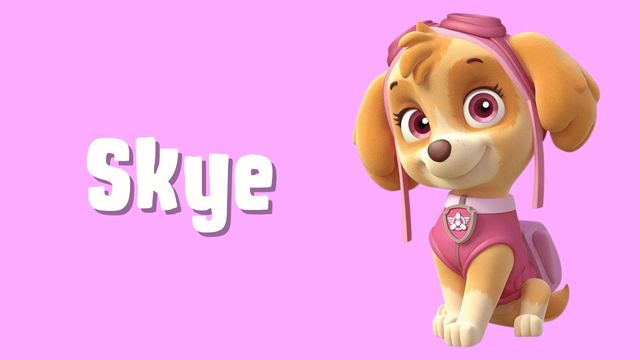 Comprar juguetes patrulla canina Skye online